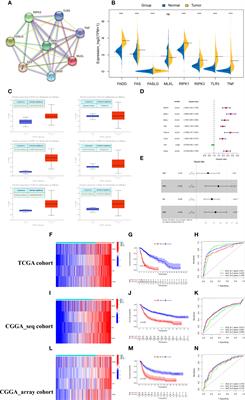 Clinical and Biological Significance of a Necroptosis-Related Gene Signature in Glioma